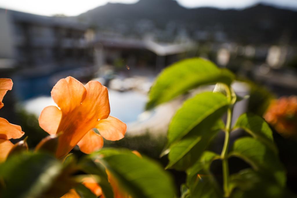 Genc Hotel Bodrum ภายนอก รูปภาพ